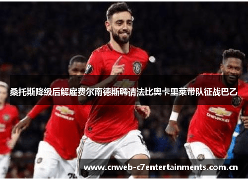 桑托斯降级后解雇费尔南德斯聘请法比奥卡里莱带队征战巴乙