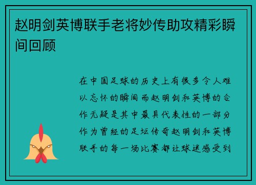 赵明剑英博联手老将妙传助攻精彩瞬间回顾