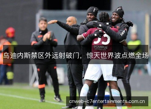 乌迪内斯禁区外远射破门，惊天世界波点燃全场